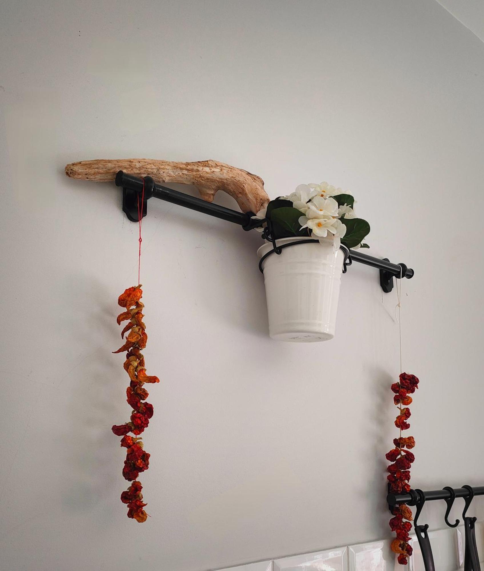 Alley 8 Scilla Ngoại thất bức ảnh